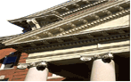 Homeopathic Colleges